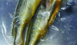 小黄鱼爆料新闻最新消息,最新热点事件深度解析